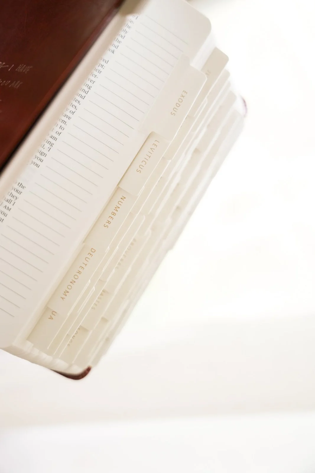Catholic Bible Tabs - Image 5