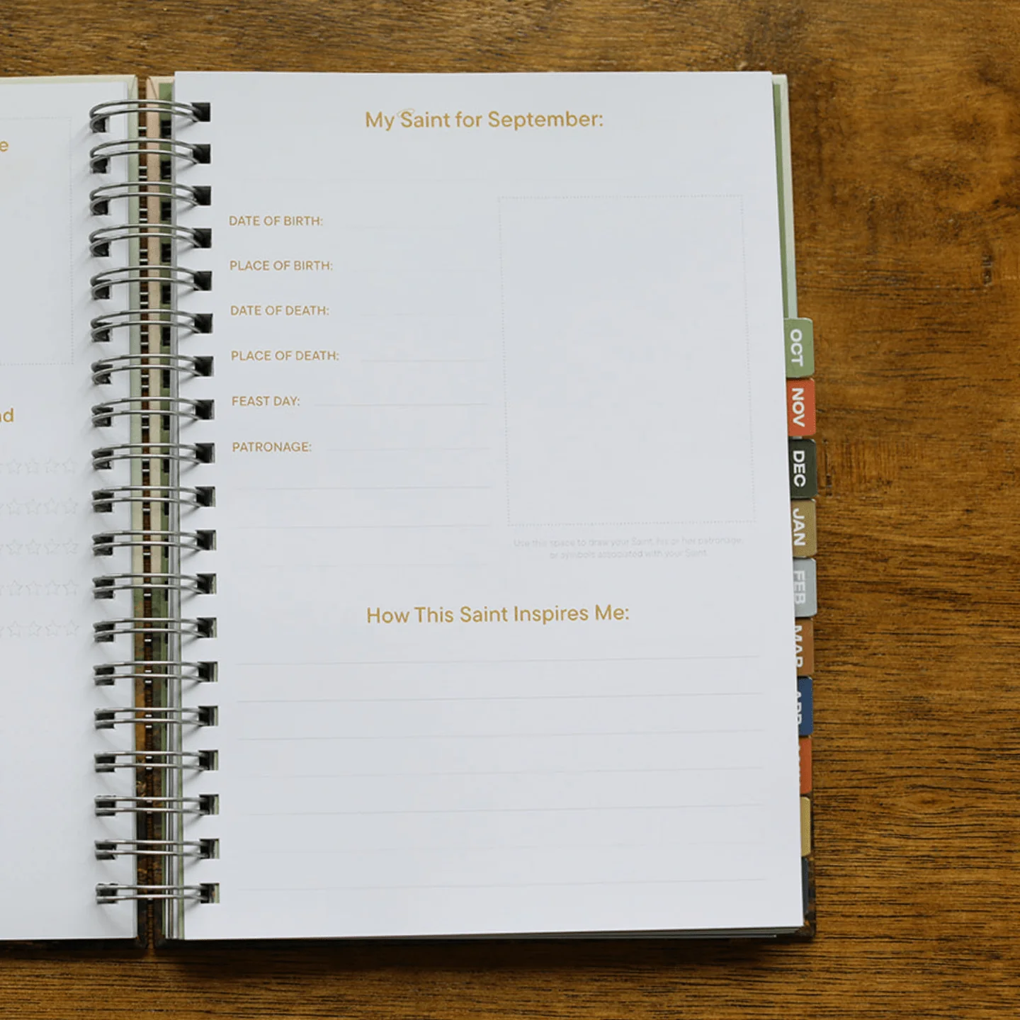 PREORDER Catholic Student Liturgical Planner - Image 5