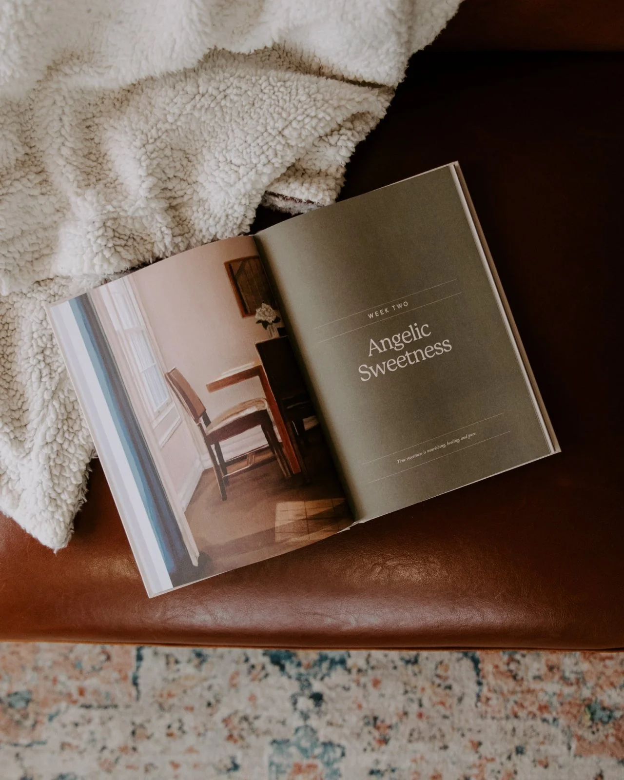 Home // Blessed Conversations Catholic Study on the Virtues of Mary - Image 3