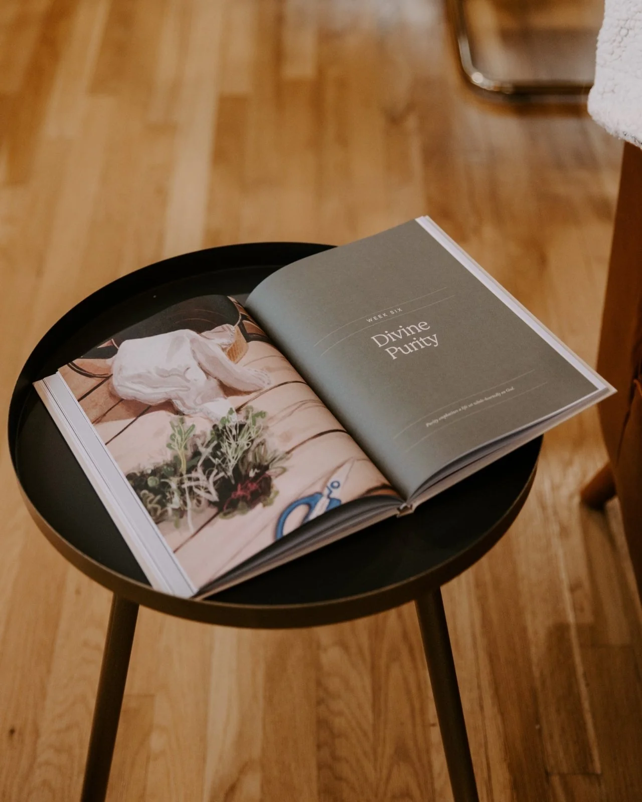 Home // Blessed Conversations Catholic Study on the Virtues of Mary - Image 5
