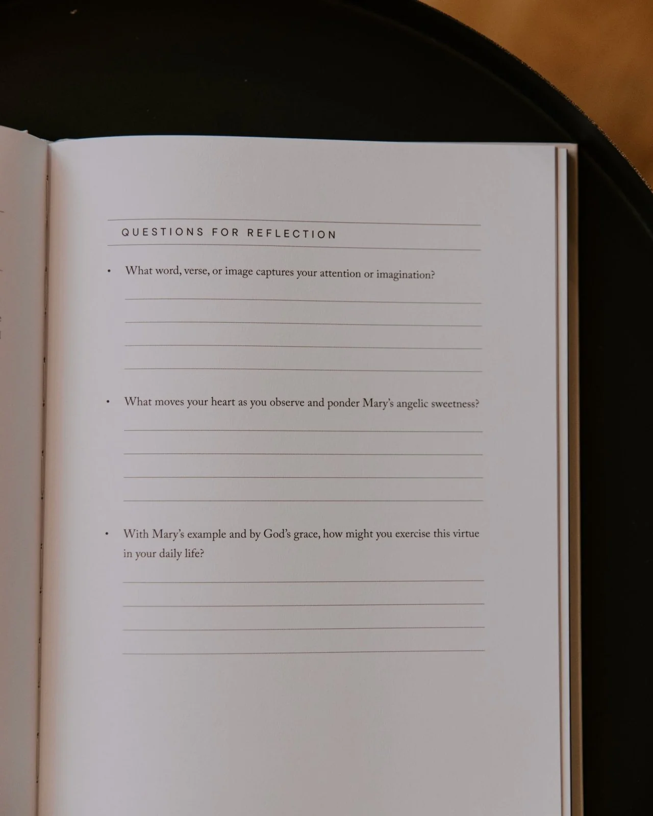 Home // Blessed Conversations Catholic Study on the Virtues of Mary - Image 7