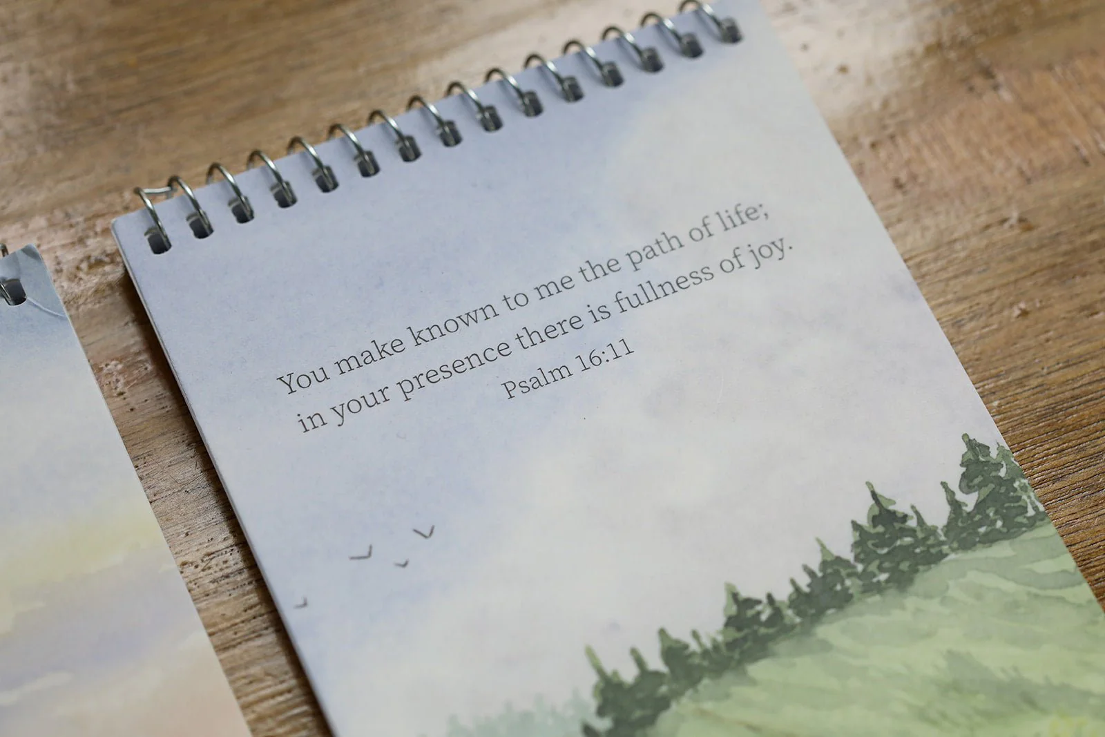 Narration Notebook - Image 3