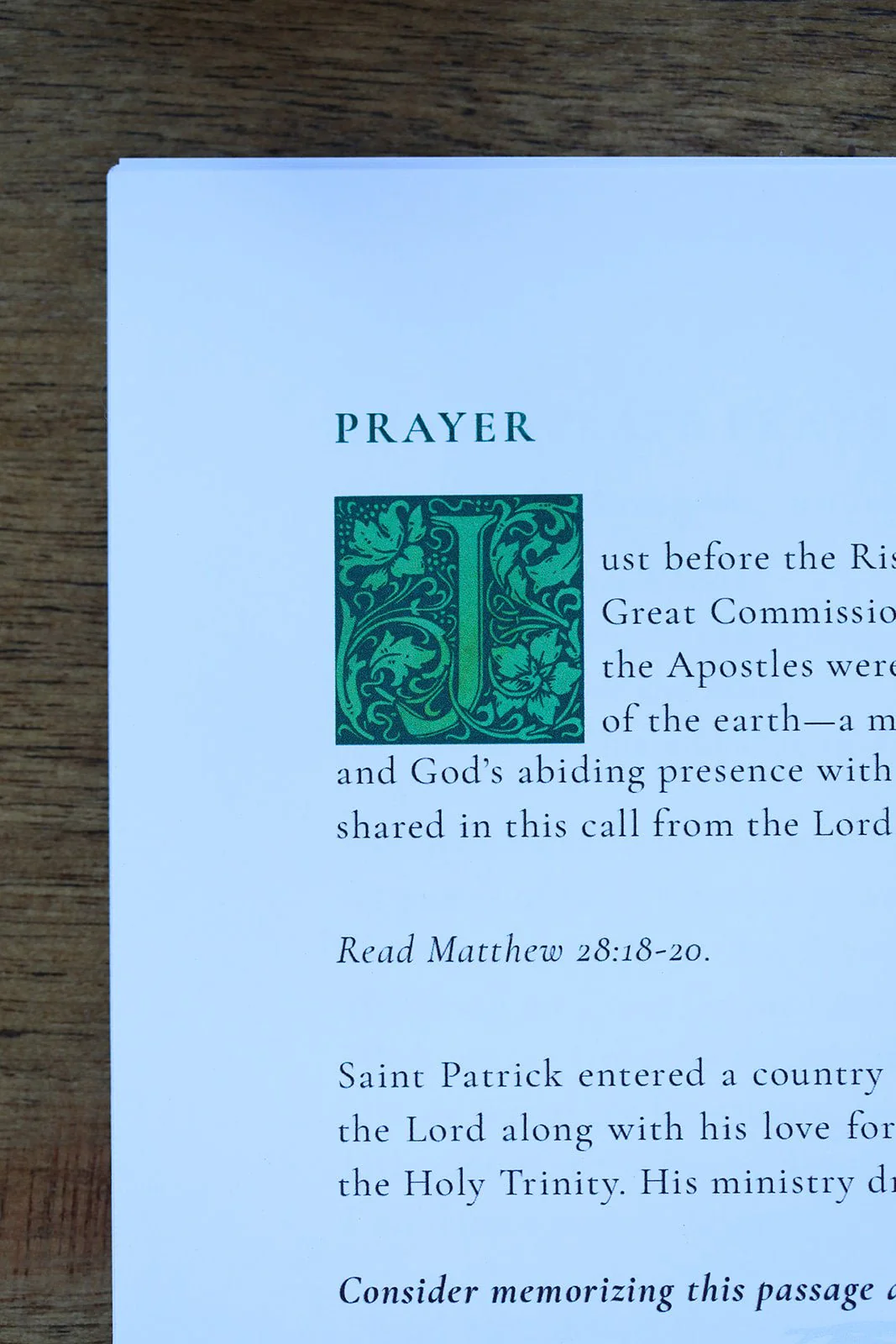Saint Patrick's Day Study - Image 4