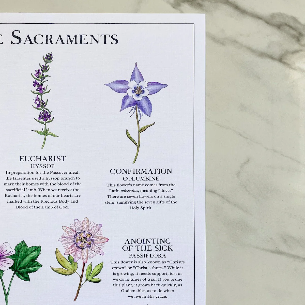 The Seven Sacraments Poster - Image 9